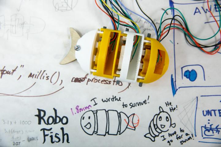 A photo of a robotic fish on a piece of white butcher paper with wires coming out of it