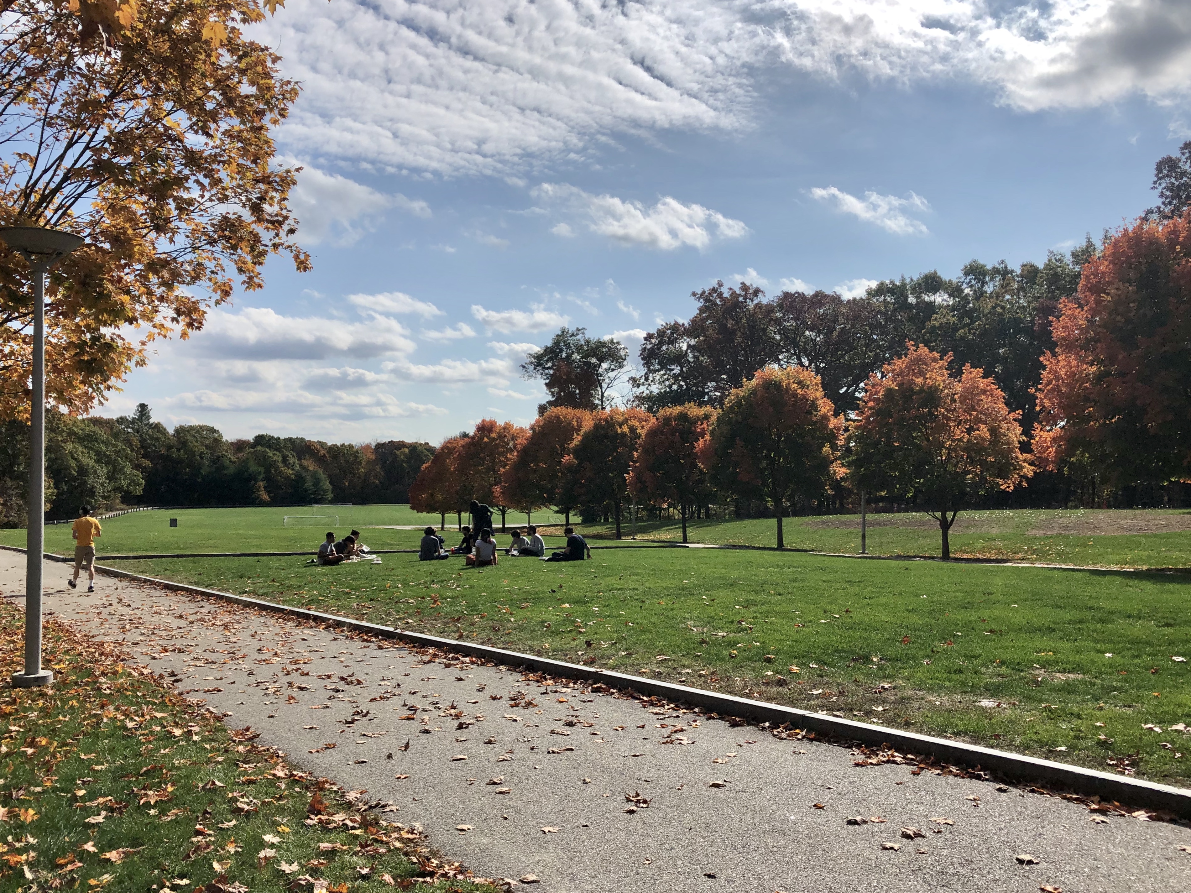 Olin's Great Lawn in the fall with some students hanging out.