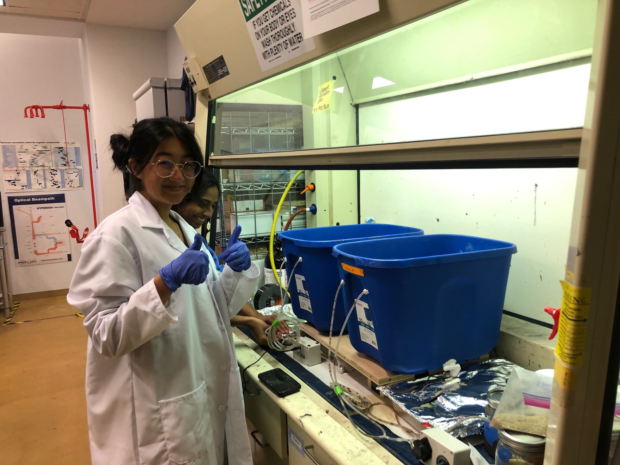 Jackie Zeng '23, a member of the Biology foundation class “Think Like a Biologist," gives a thumbs up while working in the lab.
