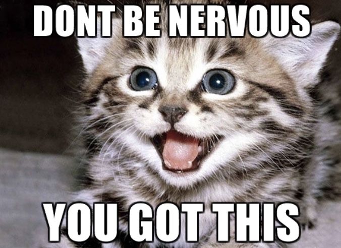 cat with caption saying don't be nervous you got this