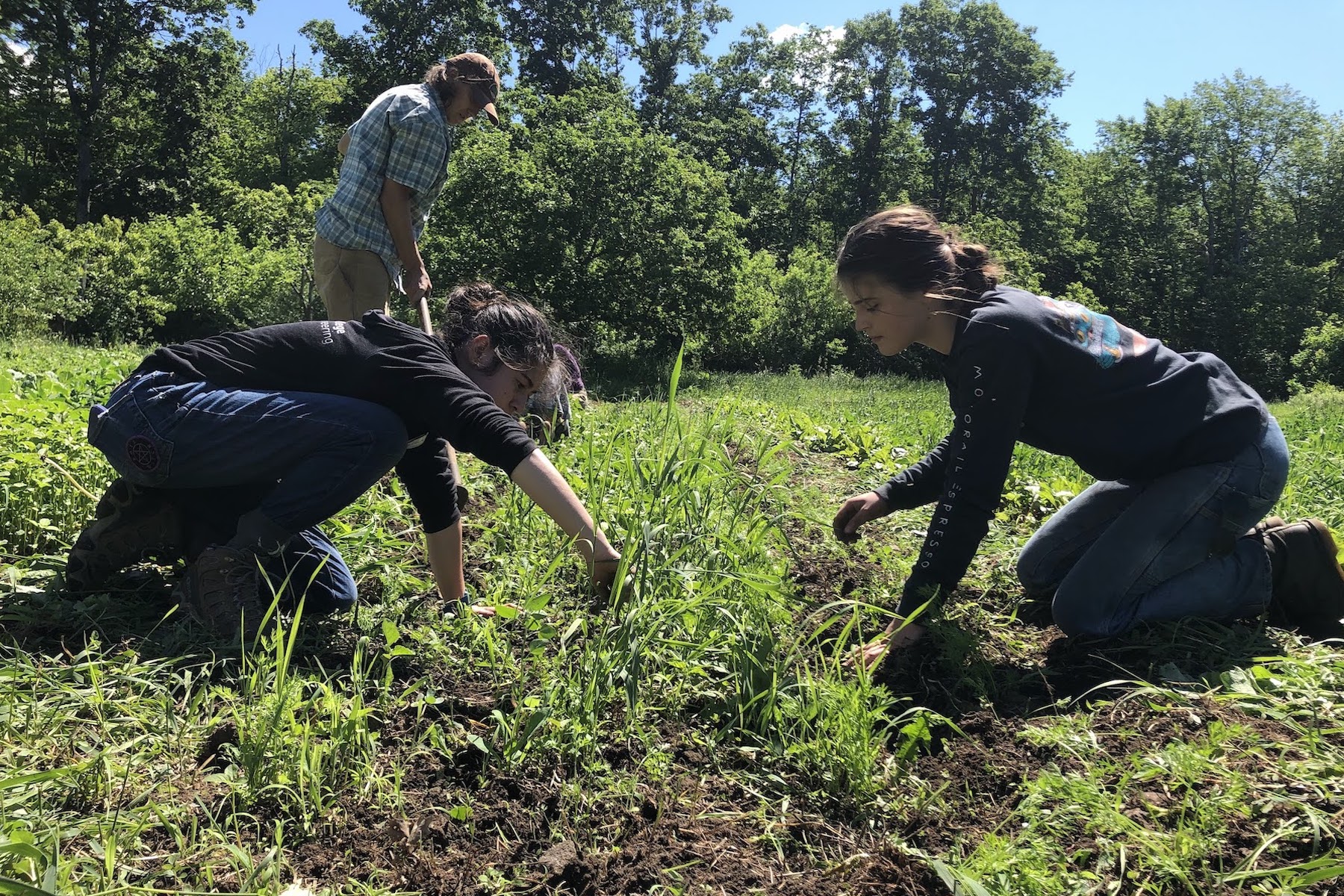 Two of the Oliners are working the farm land on Woodland Farm's homestead.