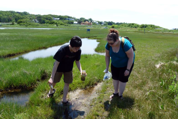 Two college student standing in a green field collecting samples