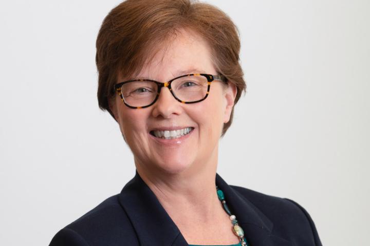 Olin College Director of Admission Susan Hartley Brisson A photo of a woman