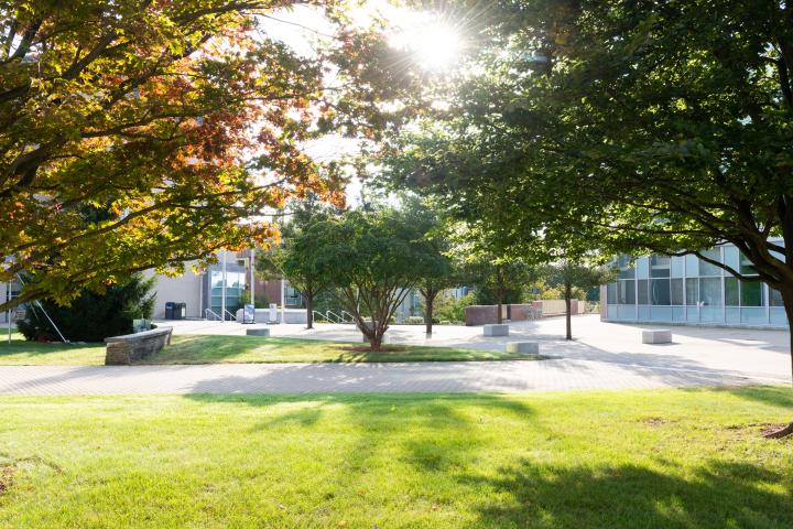 The sun shines brightly over the Olin College campus