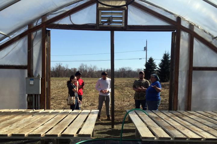 A photo from inside a greenhouse and looking out