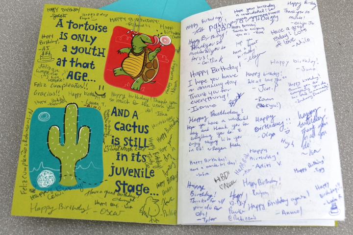 A green and white birthday card with cactus and turtle cartoon drawings, and numerous signatures written all over it.