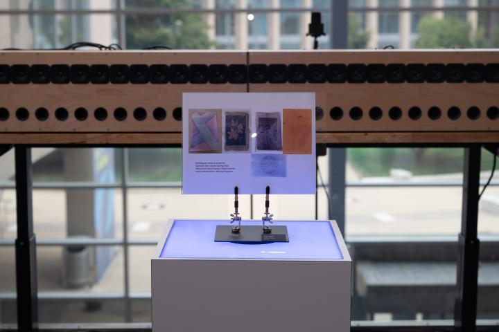 Anthotypes artiface from Voices of Olin