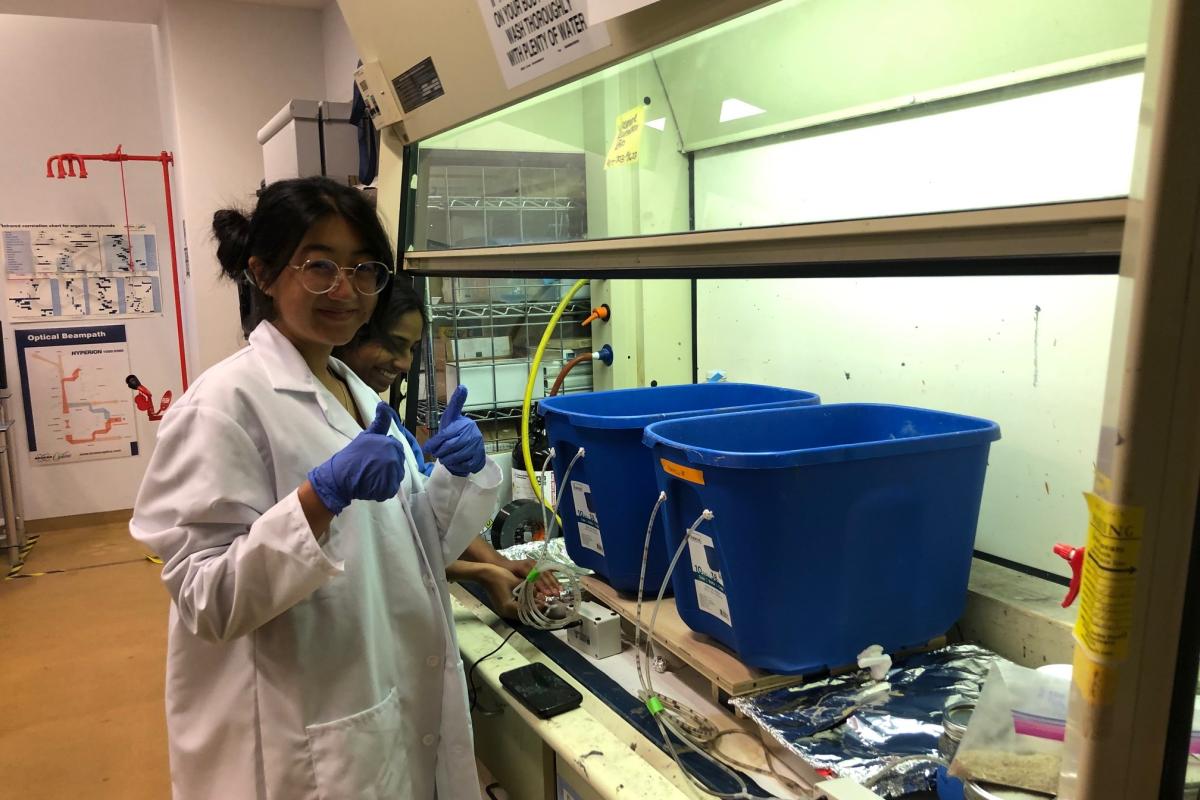 Jackie Zeng '23, a member of the Biology class, gives a thumbs up while working in the lab. A student in a white lab coat and round glasses looks at camera and gives a thumbs up in a lab setting.