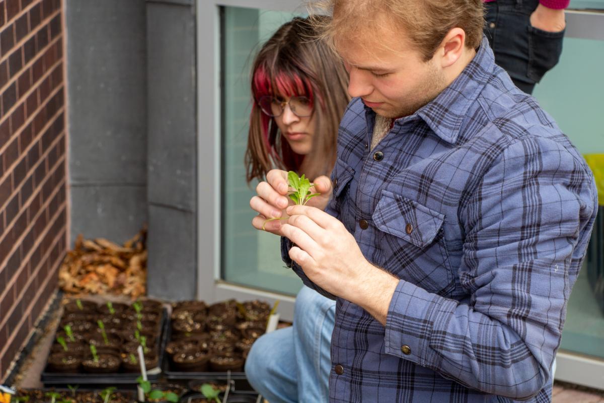 A student with a blue flannel shirt holds a small plant. 