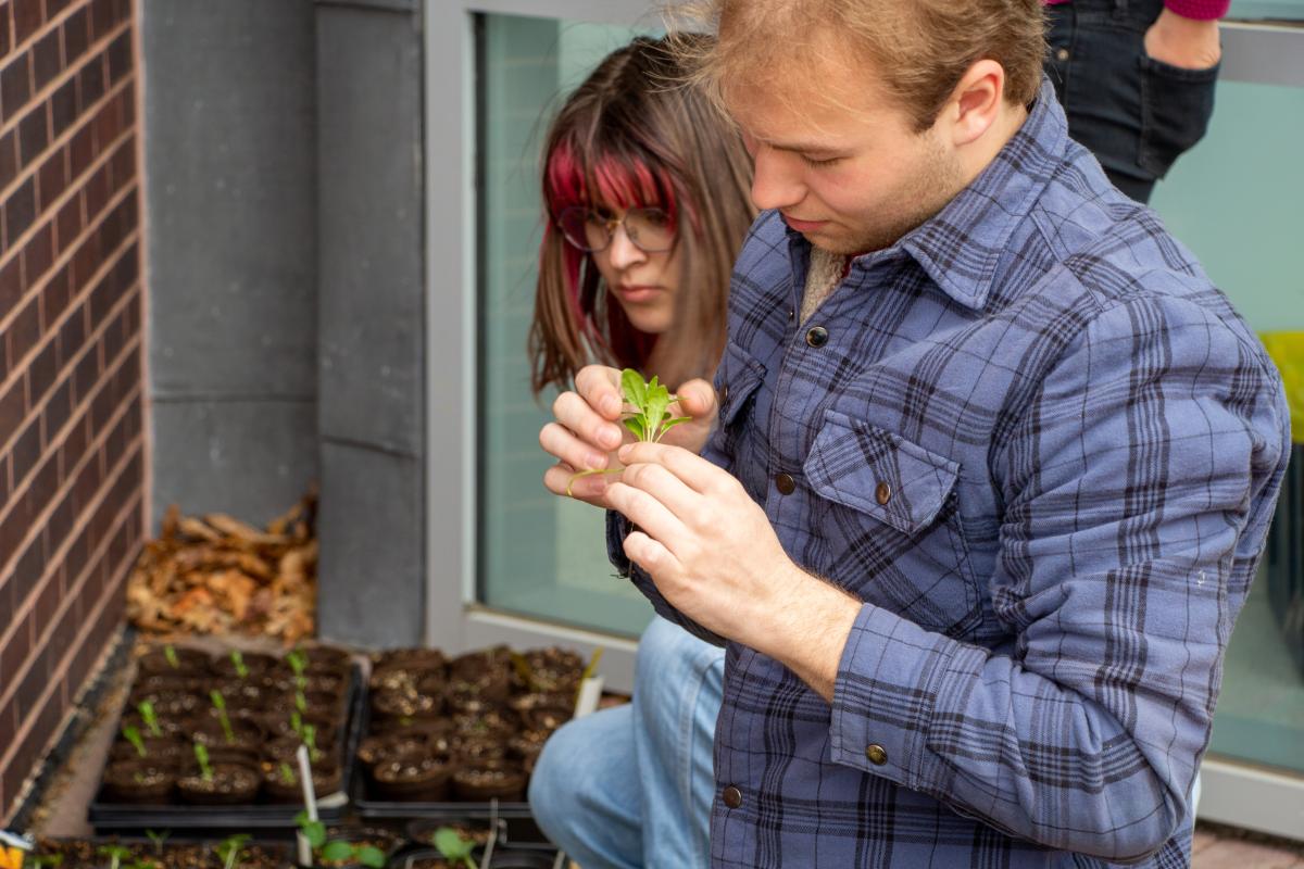 A student with a blue flannel shirt holds a small plant. A student with a blue flannel shirt holds a small plant.