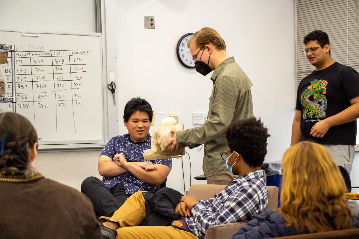 Students show a guest speaker to the classroom a large Lion's Mane mushroom. Students show a guest speaker to the classroom a large Lion's Mane mushroom.
