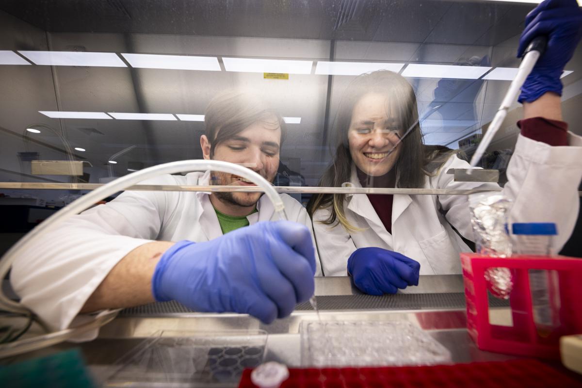 Learning to Grow Mini Organs in the Lab - Two students working with bio equipment under the fume hood.