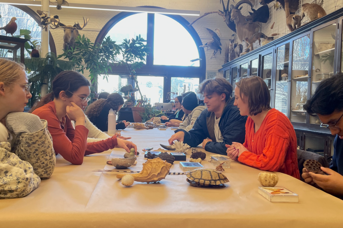 Biomimicry Nature Laboratory Trip Biomimicry Nature Laboratory Trip - students looking at bones, plants, and other items from Nature