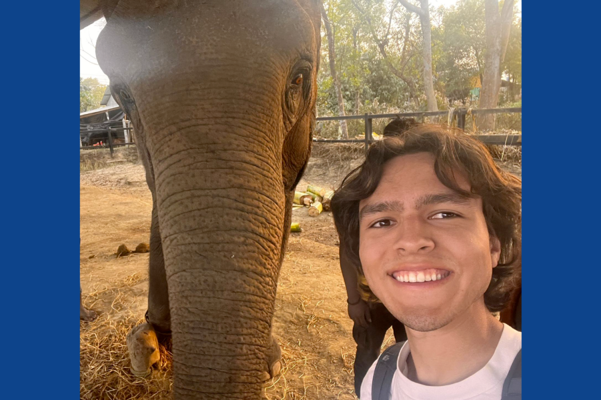Camilo Cuartas-Lopera Study Abroad Camilo with elephant while studying abroad