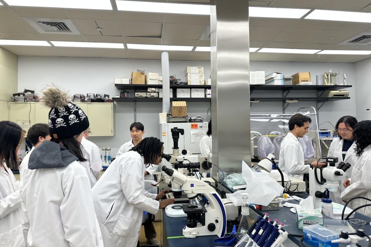 Microbial Diversity students conducting lab-based research