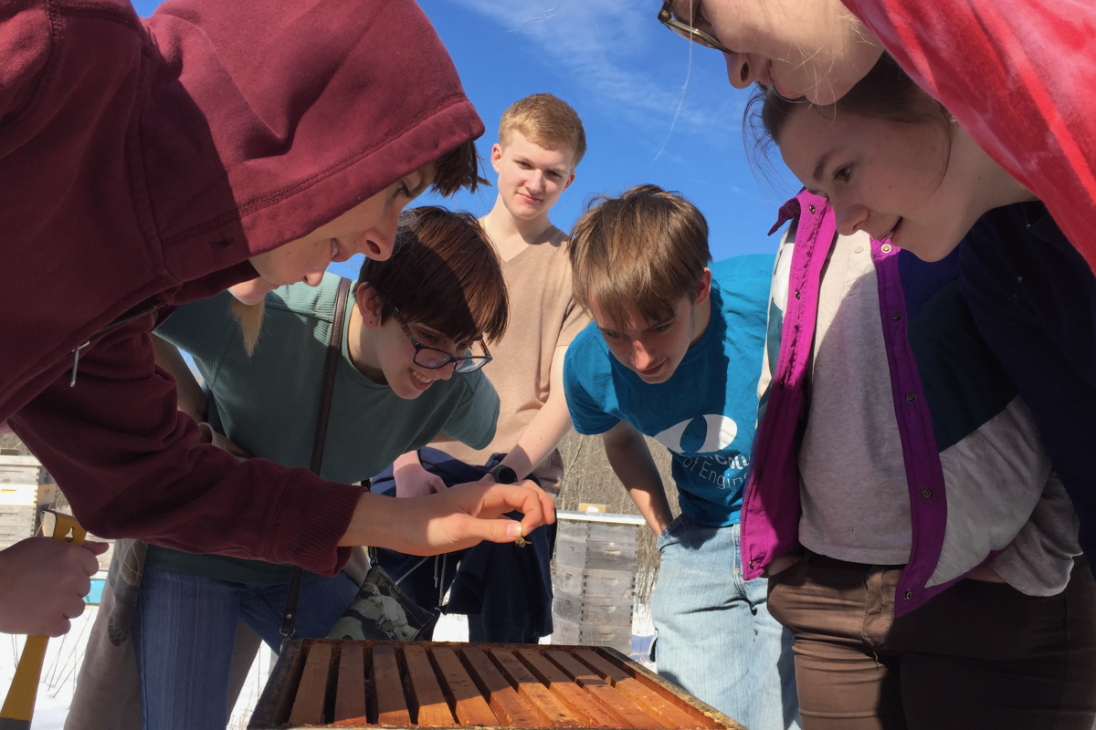 Olin Students participating in the Sustainable Beekeeping co-curricular inpsect a beehive.