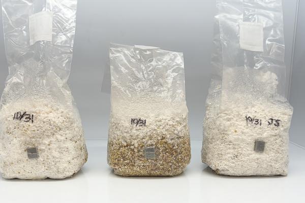 Substrate Bags 