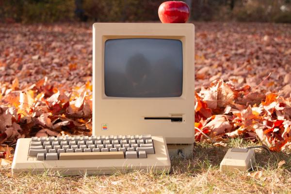 Huang's The Apple that Fell Far from the Tree photography art piece.