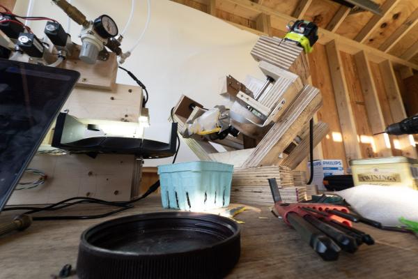 A low, close-up angle of the automated fruit sorting system. 