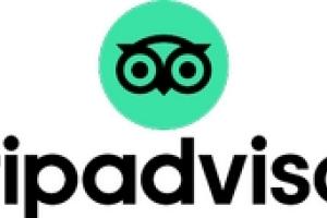 TripAdvisor TripAdvisor logo